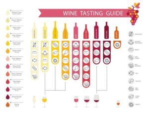 wine-tasting-guide